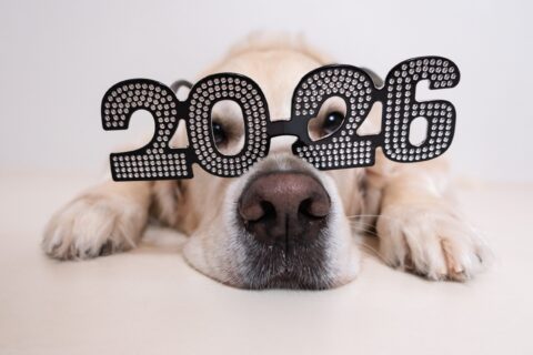 A cute dog with glasses illustrates how we can all learn better with personalized learning at scale with AI