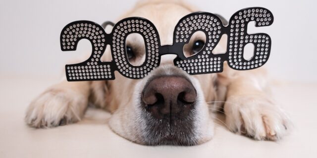 A cute dog with glasses illustrates how we can all learn better with personalized learning at scale with AI